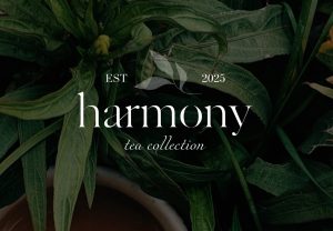 Подробнее о статье Чай и продуктивность: как простой ритуал помогает добиться успеха в бизнесе