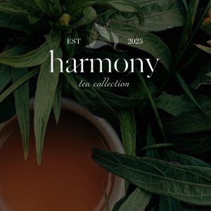 Большой Красный Халат